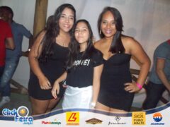 Garota Vip